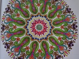 whatsapp bild 2025-04-04 um 18.45.26_4ea07330